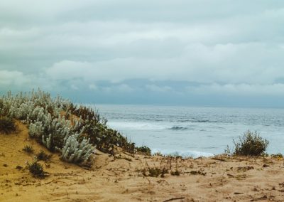 a view of the ocean from a sandy beach